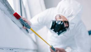 Best Residential Pest Control  in Cashton, WI